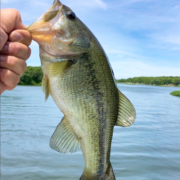 Meet your Posher, Robben - Picture 1 of 1